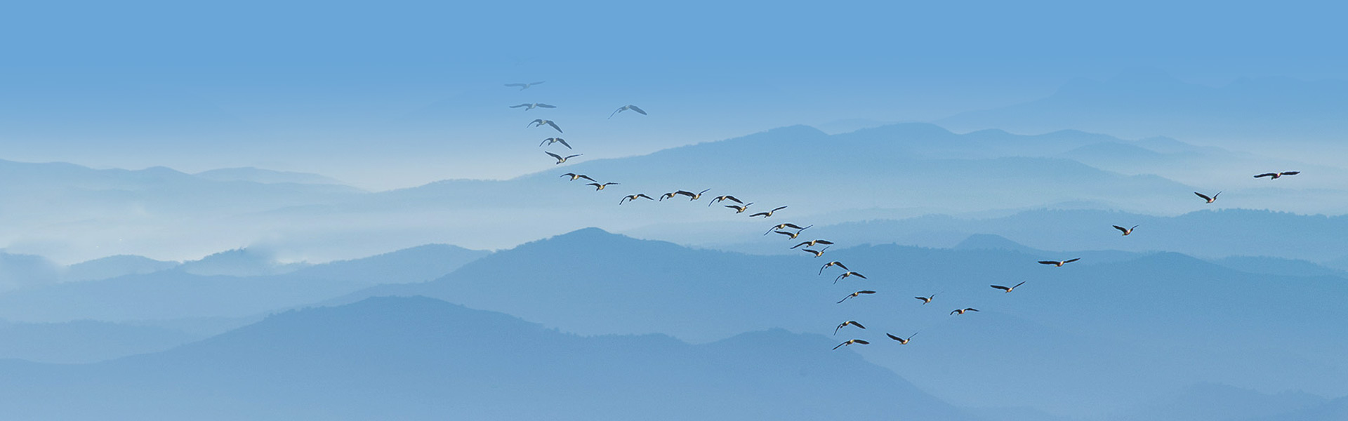 湖南中化地產有限公司