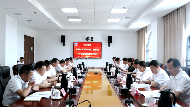 2022年6月，集團(tuán)公司黨委書(shū)記、董事長(zhǎng)戴和根一行到公司調(diào)研指導(dǎo)工作